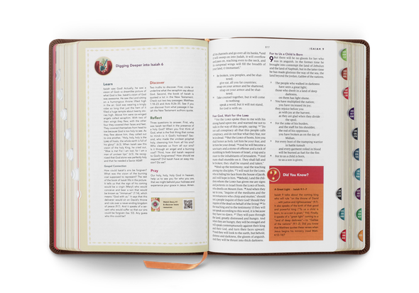 ESV The Biggest Story Holy Bible for Kids, Indexed (TruTone, Brown, Living Hope) - Bulk Case of 8