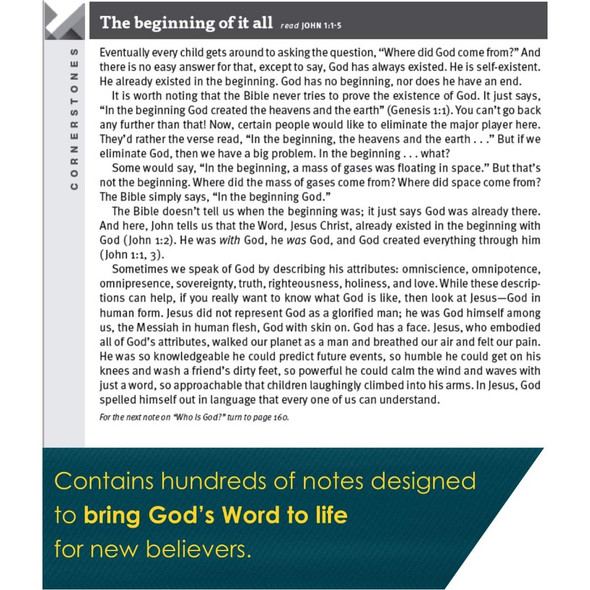New Believer’s New Testament NLT - Bulk Case of 48
