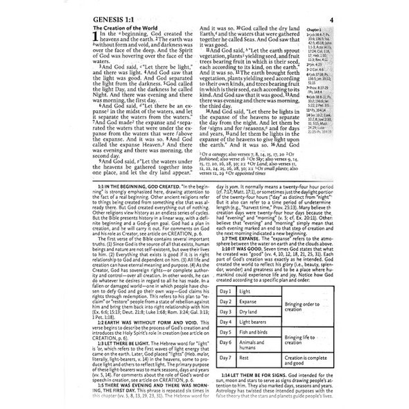 ESV Fire Bible Student Edition - Bulk Case of 16