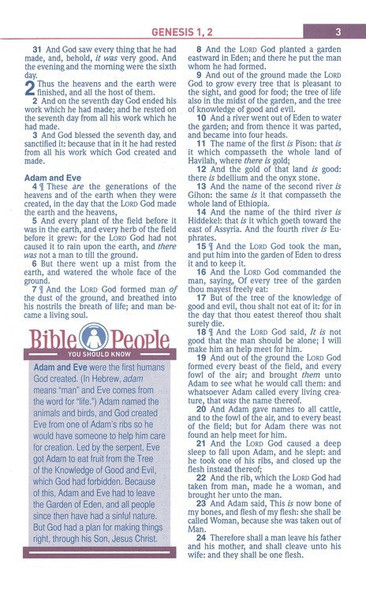 KJV Kids Study Bible - Bulk Case of 18