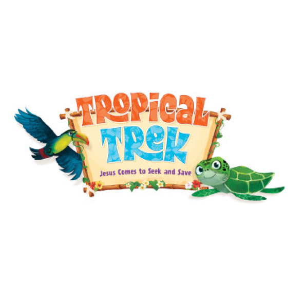 Iron-Ons (Pack of 12) - Tropical Trek VBS by CPH