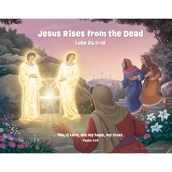 Bible Story Posters (Set of 6) - Tropical Trek VBS by CPH