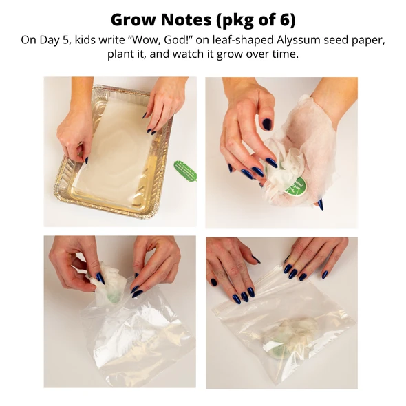 Grow Notes (pkg of 6) - Rainforest Falls VBS 2026 by Group
