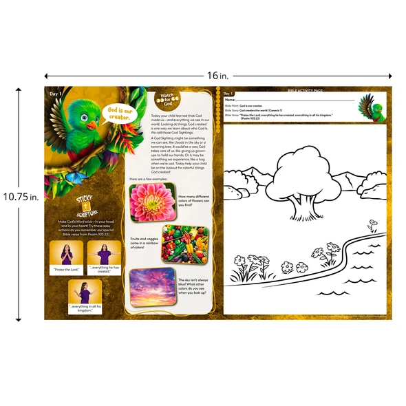 Preschool Bible Pack (Pack of 10) - Used Daily during Exploration Station - Rainforest Falls VBS 2026 by Group