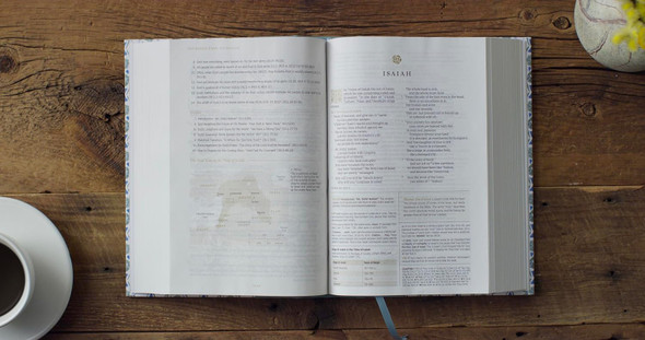 ESV Women's Study Bible: Artist Series: Cloth over Board, Lulie Wallace, Sarah - Case of 8