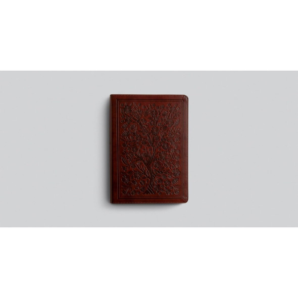 ESV Women's Study Bible: TruTone, Chestnut, Almond Tree Design - Case of 8