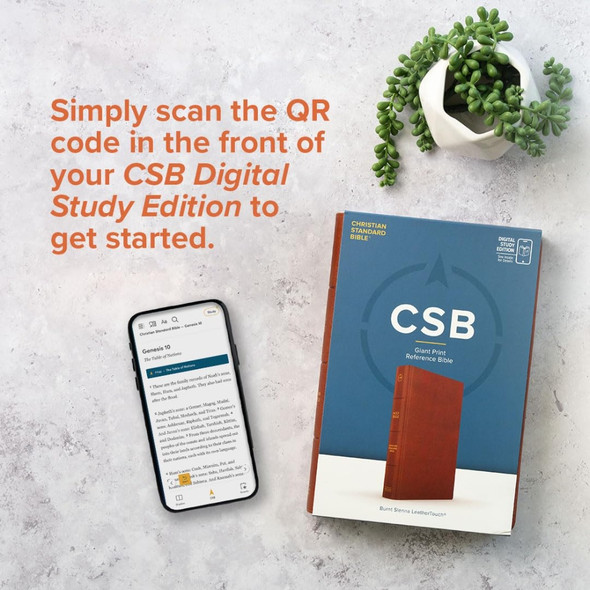 CSB Large Print Thinline Bible, Digital Study Edition Earth Suedesoft LeatherTouch - Case of 24