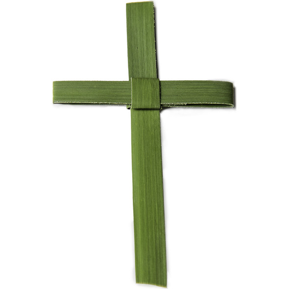 Fresh Palm Crosses (Green) 5" x 3" (Pack of 25)