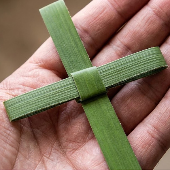 Fresh Palm Crosses (Green) 5" x 3" (Pack of 25)