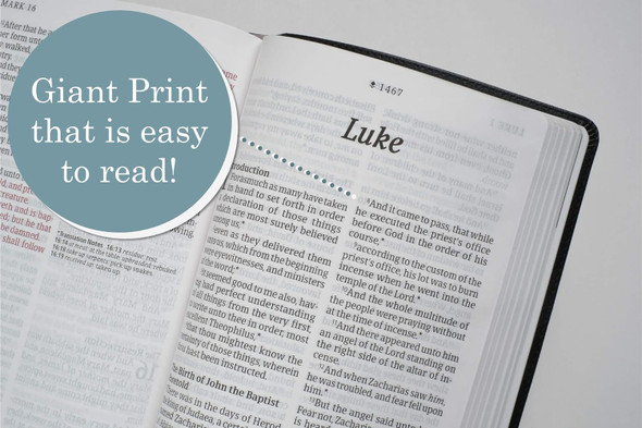KJV Personal Size Giant Print Bible, Filament Enabled - Case of 16