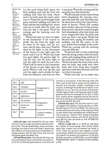 KJV Fire Bible, Large Print Edition - Case of 6