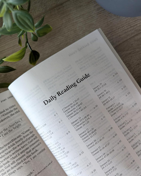 The One Year Chronological Bible NLT - Case of 16