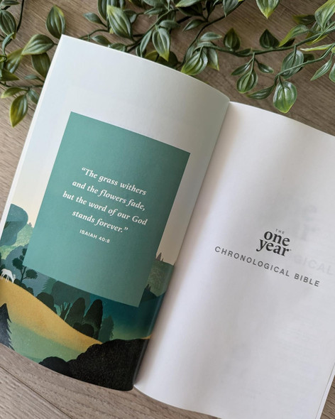 The One Year Chronological Bible NLT - Case of 16