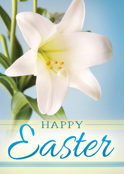 Boxed Cards - Easter - New Life - Pack of 12