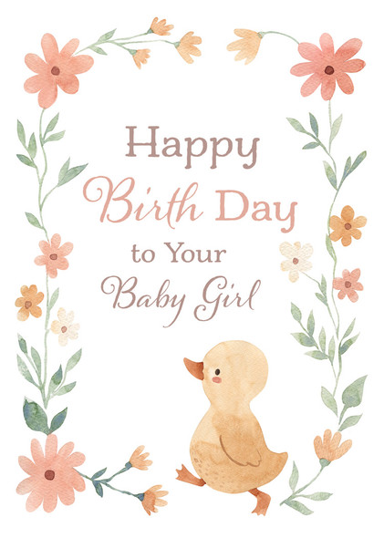 Boxed Cards - Baby Congratulations - Wee Ones - Pack of 12