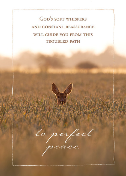 Boxed Cards - Empathy - Perfect Peace - Pack of 12