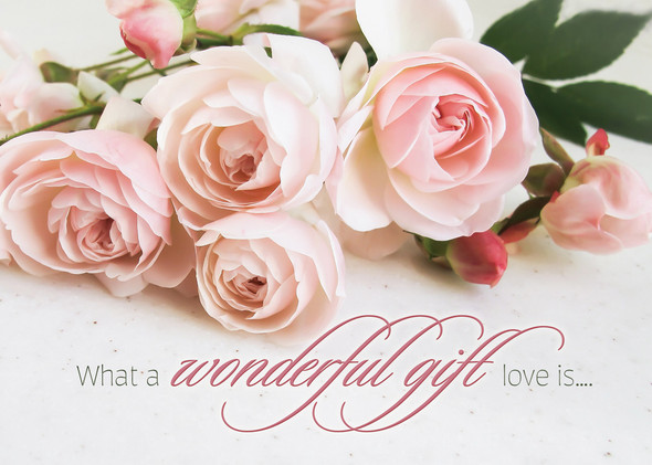 Boxed Cards - Anniversary - Roses in Bloom - Pack of 12