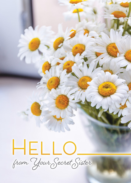 Boxed Cards - All Occasion - Secret Sister - Pack of 12