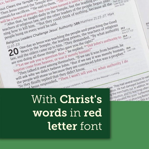NLT Life Application Study Bible, Third Edition, Large Print (Hardcover, Red Letter) - Case of 6