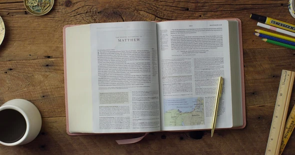 ESV Study Bible-Blush Rose, Fleur-de-lis Design TruTone - Case of 6