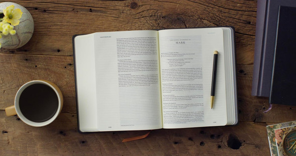 ESV Single Column Journaling Bible: Artist Series (Joshua Noom/The Lion And The Lamb) Hardcover - Case of 8