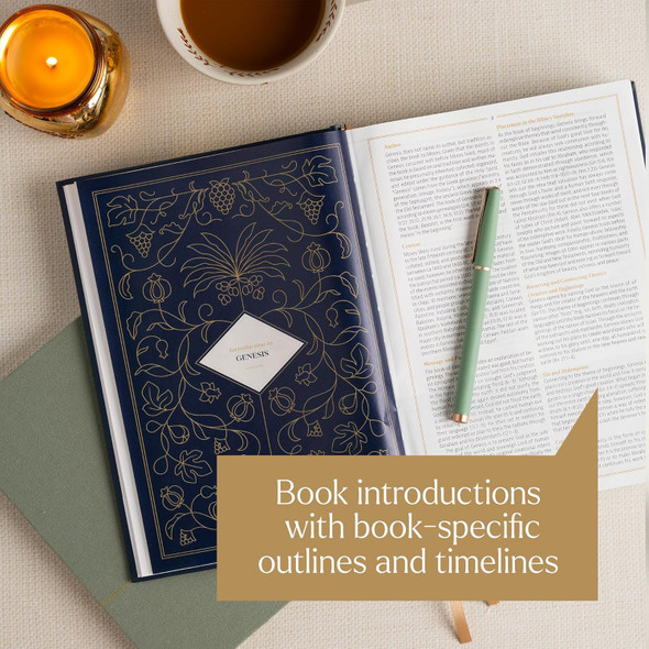 CSB Women's Study Bible, Sage SuedeSoft LeatherTouch - Case of 10