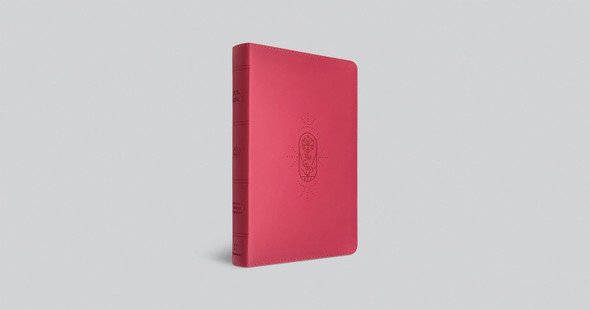 ESV Holy Bible for Kids (TruTone, Berry, The True Vine Design) - Case of 16