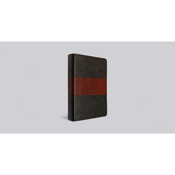 ESV Large Print Personal Size Bible, Red Letter (TruTone, Forest/Tan, Trail Design): Holy Bible, English Standard Version - Case of 10