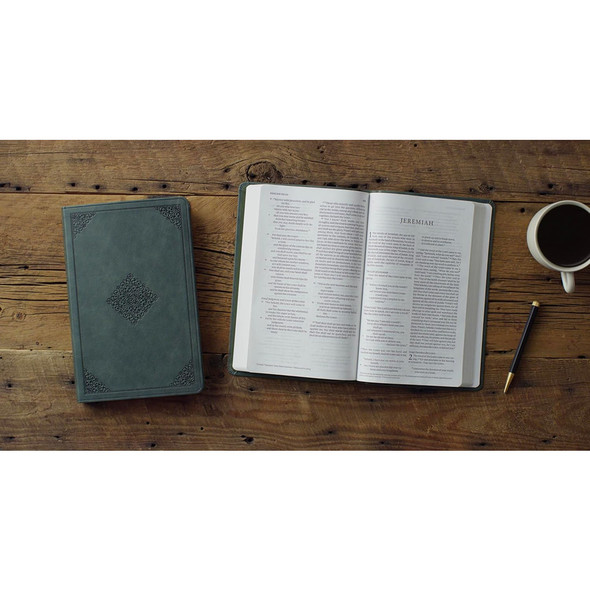 ESV Large Print Value Thinline Bible - Quiet Forest, Ornament Design Trutone - Case of 24