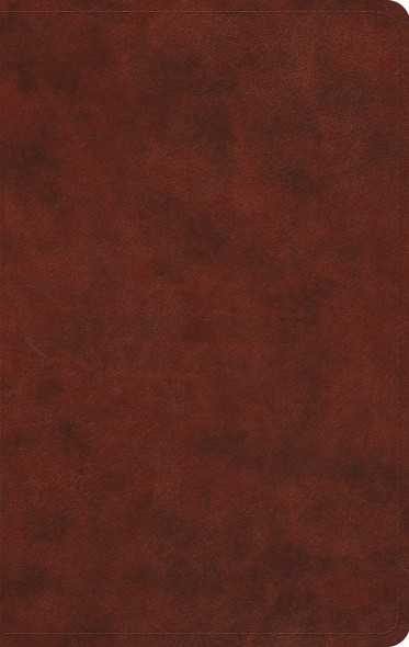 ESV Large Print Value Thinline Bible - Chestnut Trutone - Case of 24