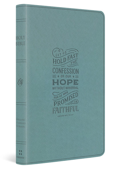 ESV Large Print Value Thinline Bible - Paris Sky, Hebrews 10:23 Design Trutone - Case of 24