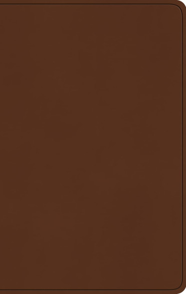 ESV Large Print Value Thinline Bible - Camel Trutone - Case of 24