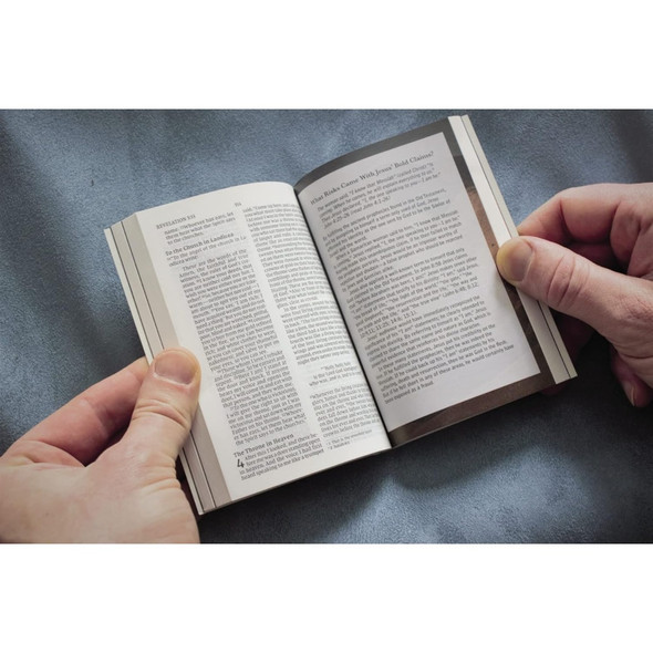 NIV Case for Christ: New Testament with Psalms and Proverbs (Pocket-Sized, Paperback, Comfort Print) - Case of 50