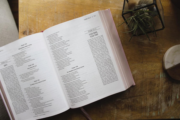 ESV: The Jesus Bible, Leathersoft over Board, Pink - Case of 8