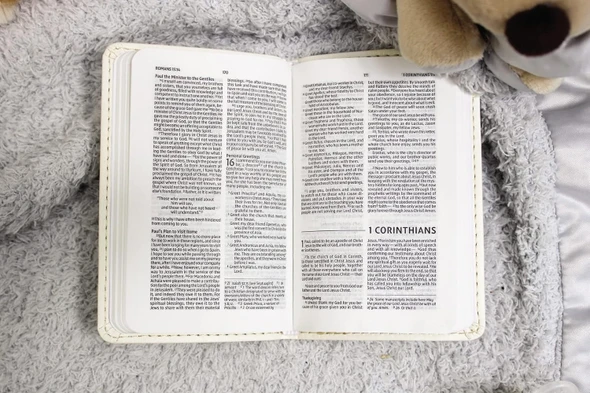 NIV Tiny Testament Bible (Leathersoft, White, Comfort Print) - Case of 100