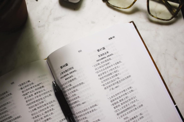 Chinese Contemporary Bible (Hardcover) - Bulk Case of 16