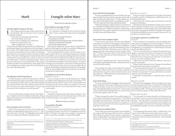 French Semeur / English NIV Bilingual Bible (Hardcover) - Case of 10