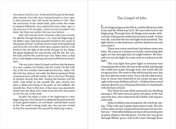 NIV Pocket Gospel of John, Reader's Edition, Paperback - Case of 200