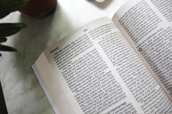 NIV Holy Bible Larger Print, Economy Edition, Paperback, Blue, Comfort Print - Case of 24