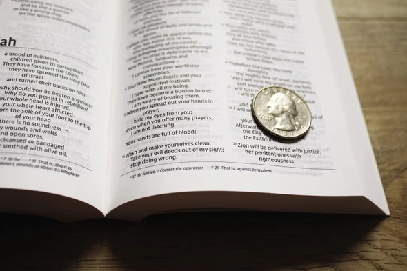 NIV Holy Bible, Compact, Paperback, Burgundy, Comfort Print - Case of 24