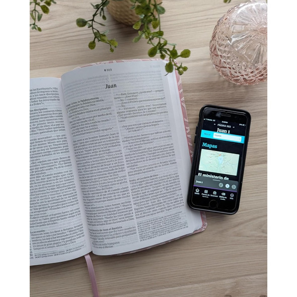 NTV: Biblia valor prémium, letra grande con Filament (Spanish Premium Bible, Imitation Leather, Pink) - Case of 16