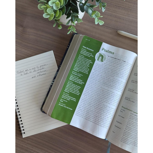 NLT Life Application Study Bible, Indexed, Third Edition, Large Print (Leatherlike, Meadow Teal), Case of 6