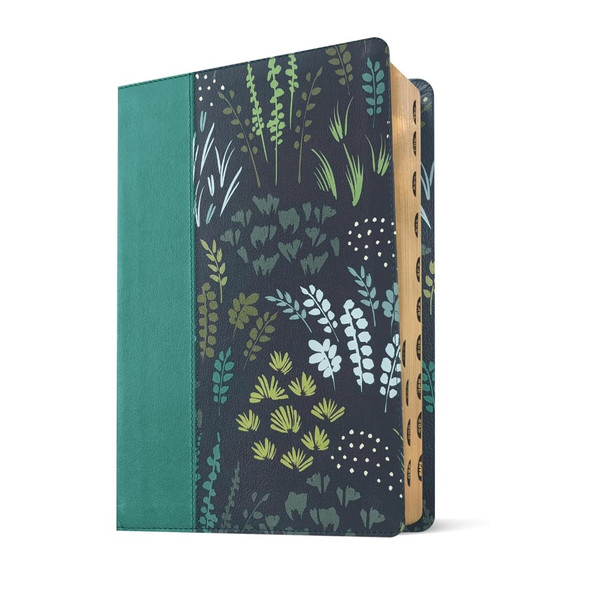 NLT Life Application Study Bible, Indexed, Third Edition, Large Print (Leatherlike, Meadow Teal), Case of 6