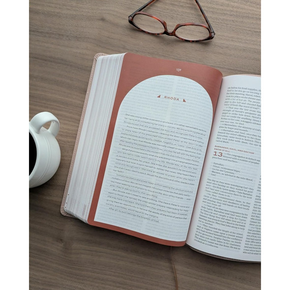 The Message Women's Devotional Bible Large Print - Case of 10