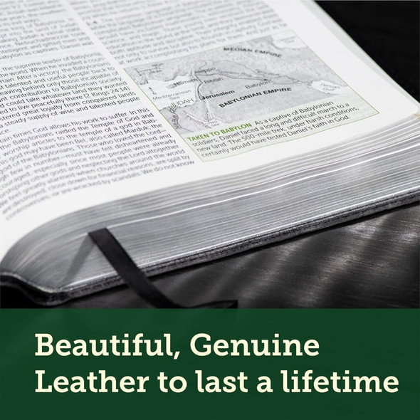 NLT Life Application Study Bible, Third Edition, Large Print (Genuine Leather, Black), Case of 6