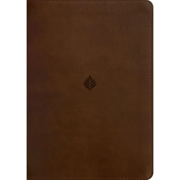 NLT Life Application Study Bible, Third Edition, Large Print (Leatherlike Rustic Brown) - Case of 6