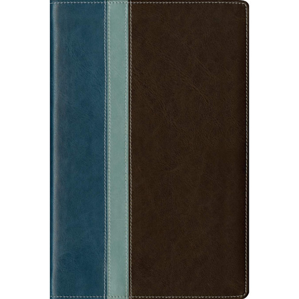 NLT Study Bible (Leatherlike, Twilight Blue/Brown) - Case of 8