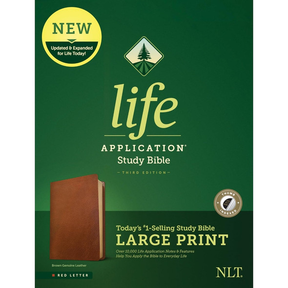 NLT Life Application Study Bible, Indexed, Third Edition, Large Print (Genuine Leather, Brown), Case of 6
