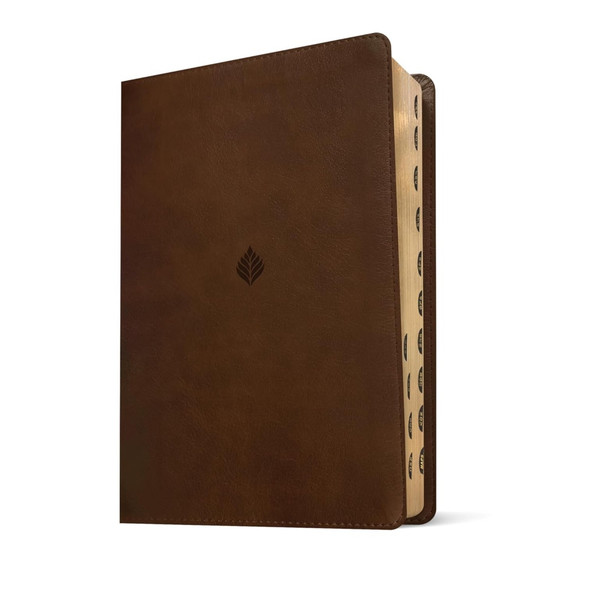 NLT Life Application Study Bible, Indexed, Third Edition, Large Print (Leatherlike, Rustic Brown Leaf), Case of 6