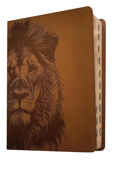 Biblia de margen amplio NTV con Filament, Indexed (LeatherLike, Lion) - Case of 12